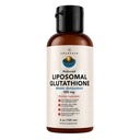 AMANDEAN Liposomal Glutathion Supplement. Væske Redusert Setria 500mg. Immunstøtte, Hjernehelse, Liver Detox, Hud Helse. Fosfatidylkolin fra ikke-GMO Sunflower Lecithin. Soy-Free & Vegan.