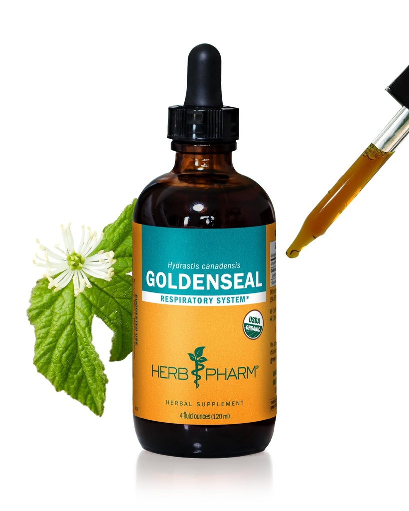 Herb Pharm Certified Organic Goldenseal flytende ekstrakt for respiratorisk system støtte - 4 Ounce