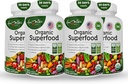 Økologisk supermat Grønn frukt og grønnsaker kompleks - beste kosttilskudd med 14 grønnsaker og 14 frukter og grønnsaker med Alfalfa og antioksidant organiske ingredienser ikke-GMO 240 kapsler