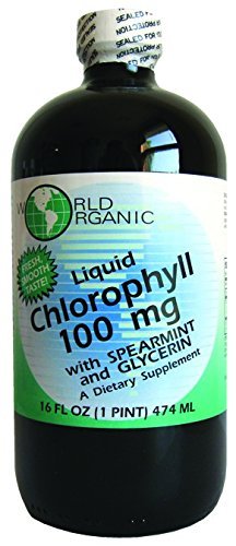 World Organics flytende klorofyll flytende med Spearmint, 16 Fluid Ounce