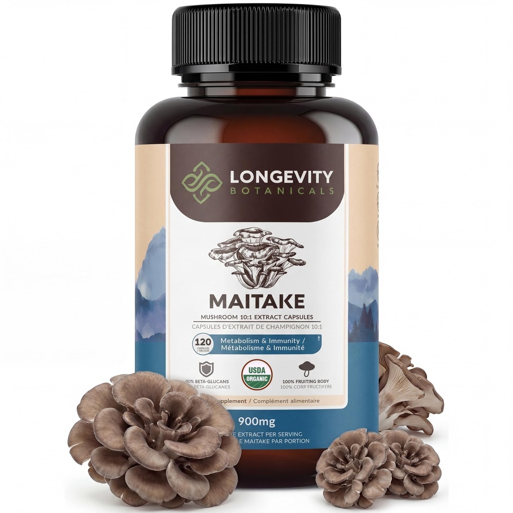 Longevity Botanicals Organic Maitake Mushroom Extract Capsules (120) Konsentrert 10:1 forholdet | 100% Fruiting Bodies | Grifola frondosa Naturlig Supplement for Gut Helse og immunitet støtte