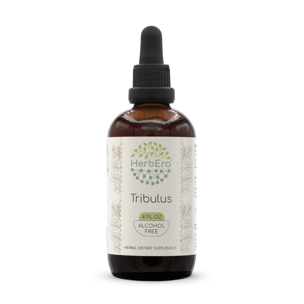 HerbEra Tribulus B120 alkoholfri urteekstrakt Tinktur, konsentrert flytende dråper naturlig tribulus (tribulus terrestris) tørket frukt (4 fl oz)