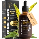 Dr Sosnowski's Organic Mullein Leaf Extract Drops | 72,000mg per Bottle | 4 fl oz Liquid Herbal Supplement with Licorice Root Flavonoid & Saponin Source | 2 Month Supply