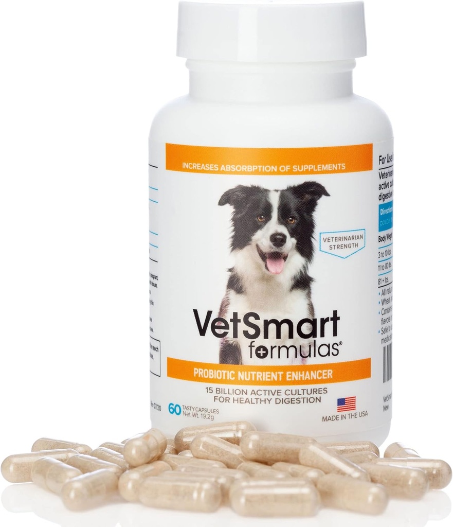 Kjæledyrprobiotika for hund Supplement - støtter digestive enzymer for næringsstoffer absorpsjon - 15 milliarder aktive probiotiske kulturer Attack inflammasjon for å hindre infeksjon