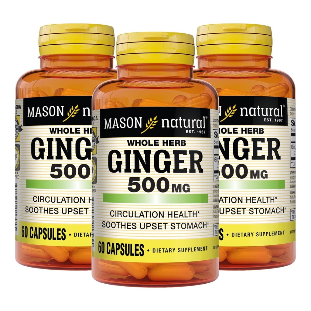 MASON NATURAL Hele urten Ginger 500 mg, 6 måneders forsyning, Naturlig Herbal Supplement, 60 kapsler (3 pakke)