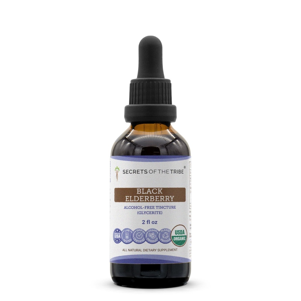 Black Elderberry USDA Organic Tinktur | Alkohol-FREE ekstrakt, høy potens Herbal Drops, Immunsystem Helse | laget av 100% sertifisert organisk svart Elderberry (Sambucus Nigra) 2 oz