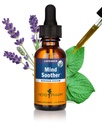 Herb Pharm Angst Sother Flytende Herbal Formula med Kava For Nervesystem Støtte - 1 Ounce