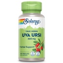 SOLARAY Uva Ursi Leaf 460 mg | Sunn Bladder, Njur- og urin-traktfunksjonsstøtte | Ikke-GMO | 100ct (Ta 3 daglig)