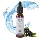 Begravet skatt lymfatiske Harmony Drops - 2oz, 30 Serveringer, lymfatiske Supplement med cleavers, Burdock, Echinacea og Astragalus