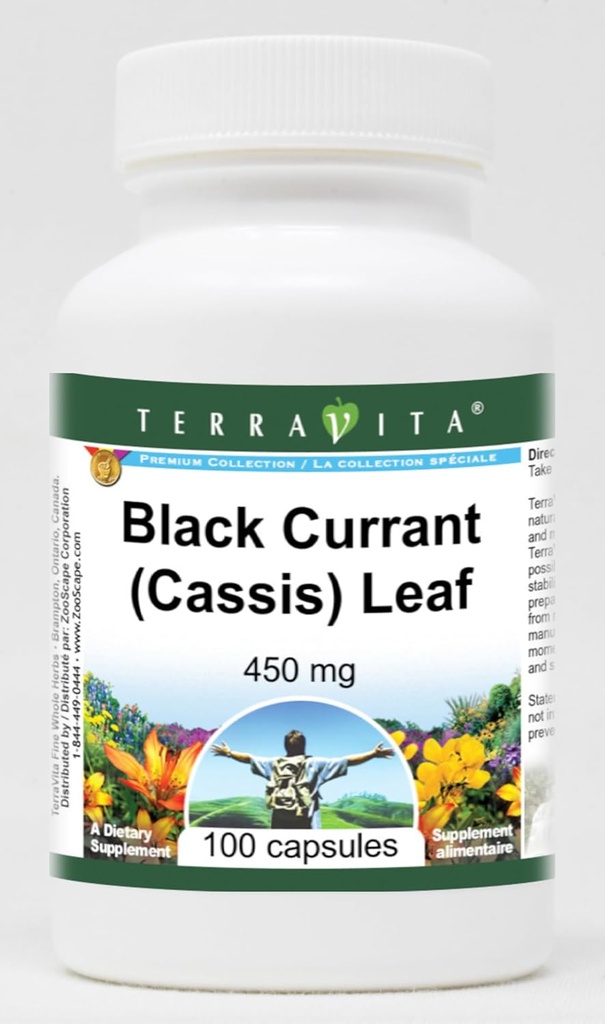 Svart Currant (Casis) Leaf - 450 mg (100 kapsler, ZIN: 513765) - 3 Pack