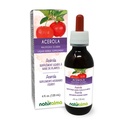 Naturalma Acerola (Malpighia glabra) Frukt alkoholfri tinktur - rik på vitamin C - 4 fl oz flytende ekstrakt i dråper - Herbal Supplement - Vegan