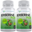 DOKUMENTER Berberine Plus 1200mg Per servering - 120 Veggie Capsules Royal Jelly (120 Count (Pack of 2))