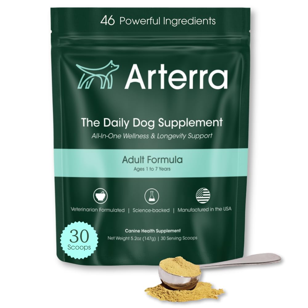 Adult Dog Powder Supplement & Food Toper – 46 Ingredienser for Gut, Immun & Brain Helse – Daglig Longevity Multivitamin for hele kroppens velvære | 30 Scoops