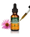 Herb Pharm Certified Organic Super Echinacea flytende ekstrakt for aktiv immunsystem støtte - 1 Ounce (DSUPER01)