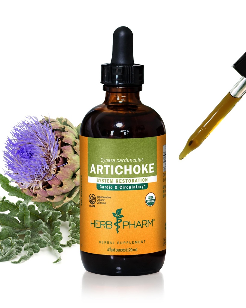 Herb Pharm Certified Organic Artichoke flytende ekstrakt for kardiovaskulær og sirkulerende støtte - 4 Ounce