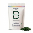 BioPure Chlorella Pyrenoidosa – 100% organisk, cracked-Cell Wall, Nutraceutical Superfood pakket med proteiner, vitaminer, mineraler og aminosyrer som støtter metabolisme, Detox og immunisme – 400 tabletter