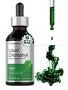 Horbäach flytende klorofyll Drops | 2 oz Vegansk, ikke-GMO, og Glutenfri formel | Naturlig Peppermynte Flavor