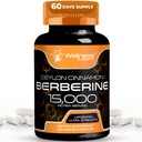WELLNESS LABSRX Berberine Supplement 15.000mg - Berberine med Ceylon Cinnamon, samlet velvære støtte kapsler - 120 kapsler (pakke med 1)