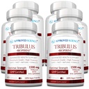 Godkjent vitenskap Tribulus terrestris - 360 kapsler - Boosts testosteron, forbedrer atletisk ytelse, støtter muskelvekst og reparasjon - 95% Furostanol Saponins - Bioperin - Vegan - 6 flasker