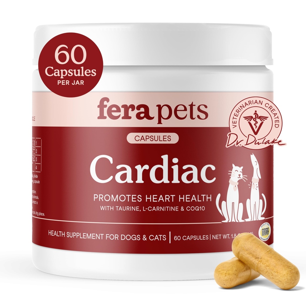 Fera Kjæledyr hjerte støtte - Cat & Hunde hjerte supplement med Taurin, L-karnitin, & CoQ10 - fremmer normal sirkulasjon og hjerteslag - 60 kapsler