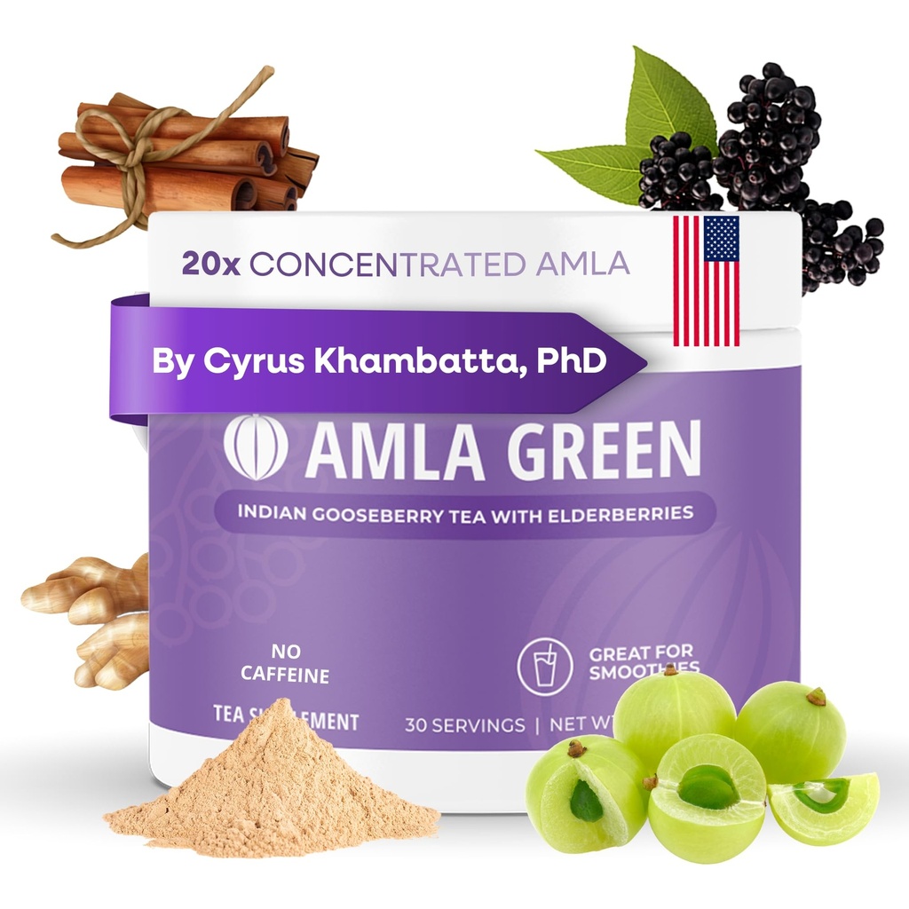 Amla pulver og immunisme blanding supermat Supplement med eldrebær, 20x Ultra konsentrert amla, immun støtte, laget med Ginger, kanel, peppermynte, indisk goosebær, immunisme, 30 serveringer