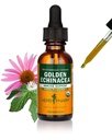 Herb Pharm Certified Organic Golden Echinacea Liquid Extract for immunsystemstøtte - 1 Ounce (DGOLDEN01)