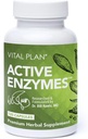 Vital Plan Active Enzymes Supplement av Dr. Bill Rawls - Digestive Enzymes for Gut Helse & Digestion - Protease, Bromelain, Lactase, Amylase & Lipase (120 kapsler)