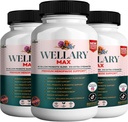 Wellary Max Menopause støtte Supplement, 40 milliarder CFU Probiotic blanding, 90 kapsler (3)