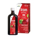 Hübner jern vital flytende jernforsyning Plus vitamin C, kosttilskudd for voksne og barn, vegansk og glutenfri, fruktflaske, 250 ml flaske, 25 serveringer