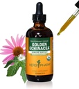 Herb Pharm Certified Organic Golden Echinacea Liquid Extract for immunsystem støtte - 4 Ounce