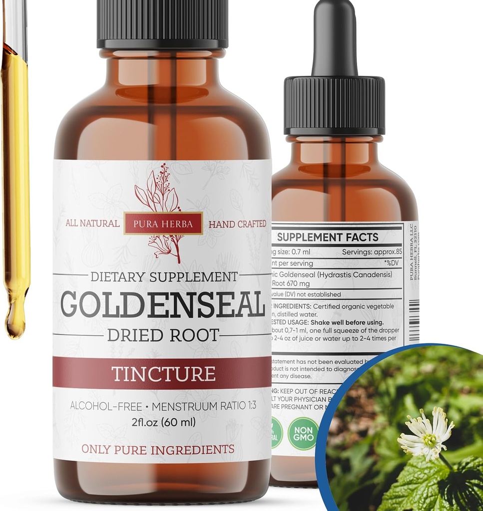 Goldenseal Tinktur | Premium alkohol-fri urteekstrakt fra Goldenseal Root | Flytende Botanisk Supplement | Tradisjonell Herbal Formula | Laget i USA - 2 oz (60 ml)
