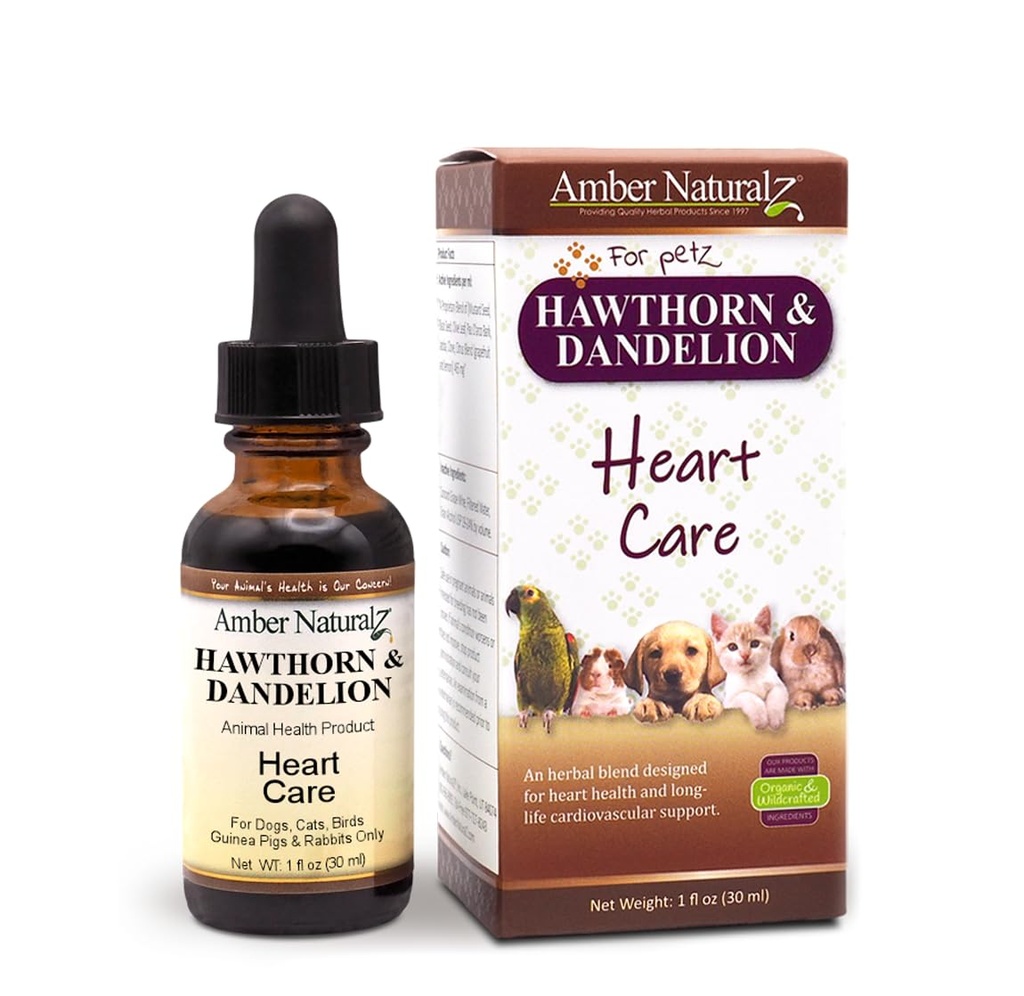 Amber NaturalZ Hawthorn & Dandelion Herbal Supplement for hunder, katter, fugler, kaniner, og Guinea griser | støtter hjertehelse, sirkulasjon og flytende balanse | Naturlig kardiovaskulær omsorg