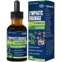 Cleavers Lymphatic Drainage Drops for Lymph System Detox Cleanse, Lymphedema Support Supplement Formula m / Echinacea, Cat's Claw, Red Clover Extract Tinktur, bruk med Lymph Massage Tool. 2oz