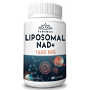 1600 mg Liposomal NAD Supplement, 98% Pure NAD+ Supplement, Superior Absorpsjon, Alternativ til Nikotinamid Riboside eller NADH å øke NAD+ for aldringsvar, energi, lang levetid, 60 Softgels