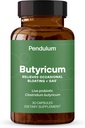 Pendulum GI Repair | En probiotika Supplement og menn - Øker butyrat, Forbedrer Gut Helse, lindrer anledninger GI Discomfort, Bloating, & Diarrea. Inneholder Clostridium Butyricum, 30 greve
