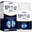 Superoksid Dismutas Supplement 500mg - SOD Pluss med liposomal glutathione, AKG, grønn te ekstrakt, L-Arginin, Lysin, Resveratrol og vitamin E for immunstøtte, Antioksidant 60 kapsler