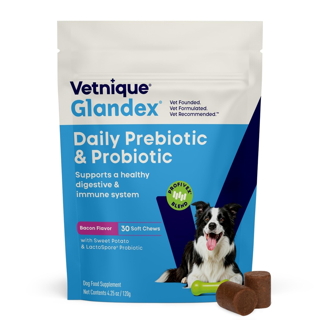 Vetnique Glandex daglig probiotika for hunder med prebiotika for å støtte Gut helse med fiber og digestive enzymer, probiotiske Chews eller pulvere (30ct Chews, Bacon Chews)