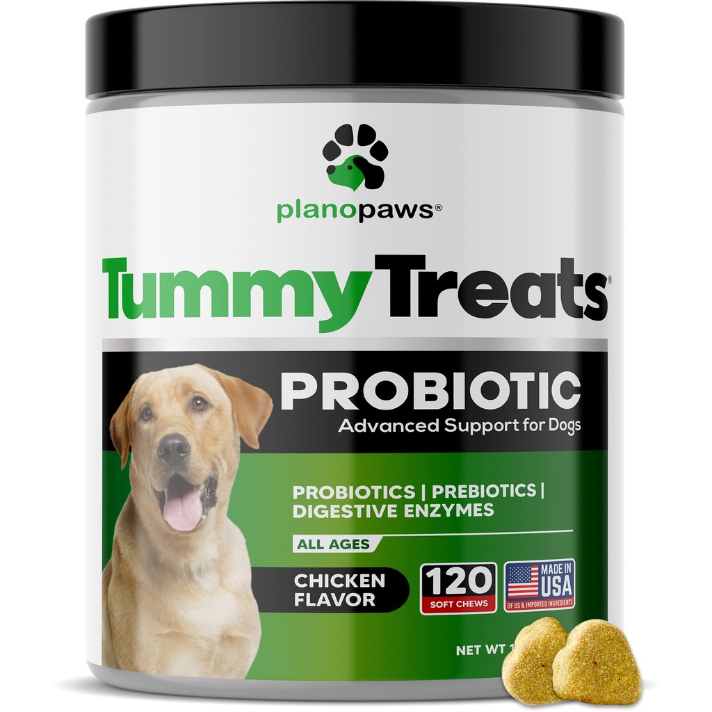 Probiotika for hund Digestive Helse - Hundeprobiotika og Digestive Enzymer - Allergi Relief for hunder - Probiotiske for hunder Gut Helse - Puppy Probiotic Tummy behandlinger - 120 Hunde Probiotic Chews