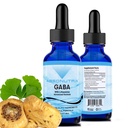 Absonutrix GABA med L-Theanine 290 mg, 4 Oz væske, 300 serveringer, laget i USA, rask absorpsjon, Quality Potent ingredienser, ikke-GMO, GMP-sertifisert anlegg, Cruelty-Free produkter