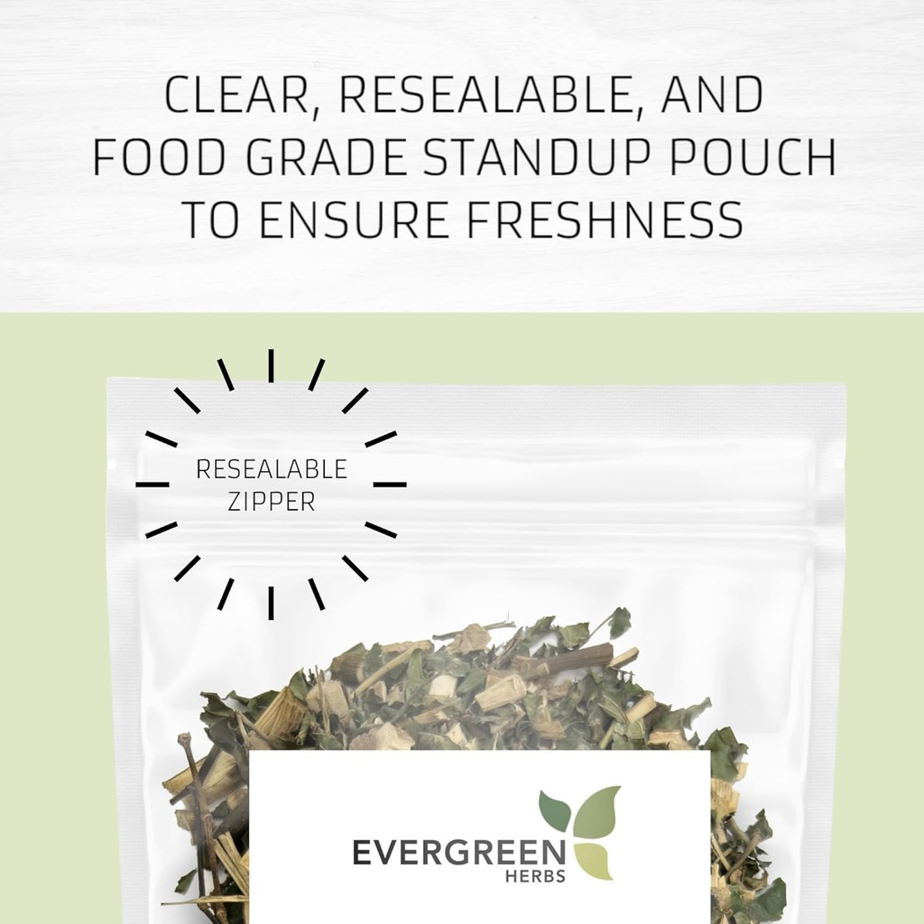Evergreen Herbs Cuachalalate Herb (Amphipetyglum Adstringens) - Forseglbar stå opp pung for å sikre friskhet! (Tea Bags)