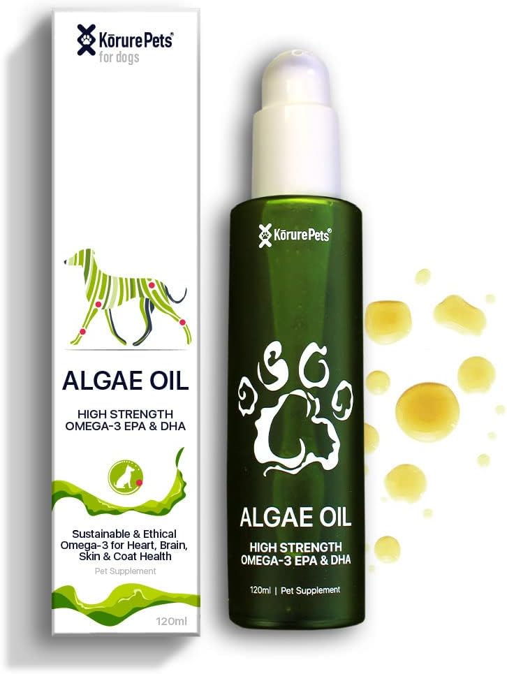 Omega 3 for hunder, hud og coat Supplement for hunder, algaeolje, alternativ fiskeolje for hunder, allergi og hund kløe relief, hund antishedding supplement, hund tørr hud behandling, fra New Zealand 120 ml