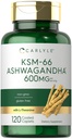 Carlyle KSM-66 Ashwagandha 600 mg | 120 kapler | ekstrakt Supplement med L-Theanine | Vegan, ikke-GMO, Glutenfri