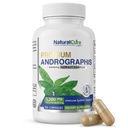 Naturlig Cure Labs Premium Andrographis Paniculata ekstrakt 1200mg med 100 mg Andrographolides Vegan Capsules for immun og digestiv støtte, ikke-GMO, Glutenfri, Herbal kosttilskudd