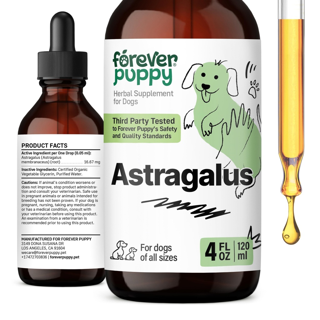 Forever Puppy Astragalus Root Drops for hunder - Astragalus Membranaceus Extract for hunders immunstøtte - Herbal Pet Liquid kosttilskudd for immunitet og gledelig kjæledyr - 4 oz