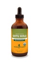 Urt Pharm Certified Organic Gotu Kola Liquid Extract for stomatoid System Support - 4 Ounce