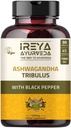 Ashwagandha kapsler organisk 1000mg (90 kapsler) laget med tribulus terrestris, Shatavari og svart pepper organiske ingredienser | 45 dagers levering