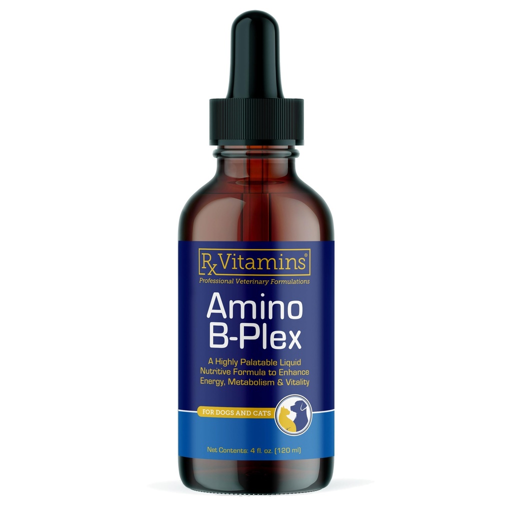 Rx Vitaminer Amino B Plex Cat & Hunde Supplement - Vitamin B Complex Liquid Plus Aminosyrer for hunder & katter - Appetitt Booster og vektvinner Cat & Hunde Vitaminer - 4 oz