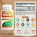 Beste Naturals Niacin 500mg 250 tabletter med flushing - også kalt vitamin B3 (250 telle (pakke med 2))
