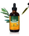 Herb Pharm Certified Organic Olive Leaf Liquid Extract for immunsystem støtte, 4 Fl Oz