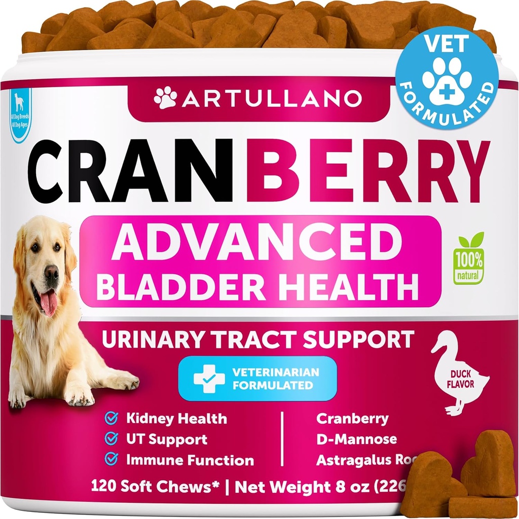 Hund UTI-behandling - Cranberry Supplement & Blader Control for hunder - urinveistrakt infeksjon Inkontinens Pill, Blader Stones - UTI medisin behandlinger - 120 myke Chews for nynorsk støtte med fiskeolje